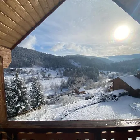 Chalet De La Grimpette Au Coeur De Gerardmer Exterior photo