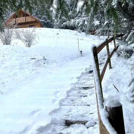 Chalet De La Grimpette Au Coeur De Gerardmer Exterior photo