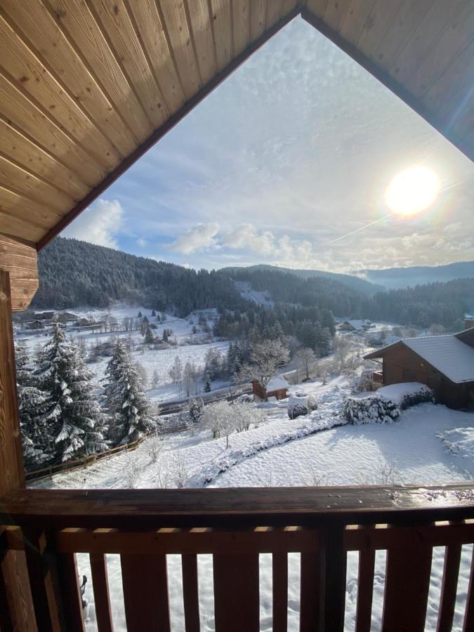 De La Grimpette Au Coeur De Chalet Gerardmer