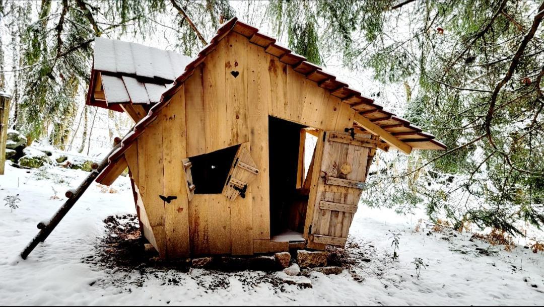 De La Grimpette Au Coeur De Chalet Gerardmer